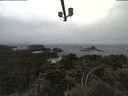 ./images/calvert/lookout/20210602/lookout20210602_105501.jpg
