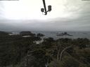 ./images/calvert/lookout/20210602/lookout20210602_110502.jpg