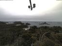 ./images/calvert/lookout/20210602/lookout20210602_111502.jpg