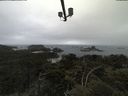 ./images/calvert/lookout/20210602/lookout20210602_112502.jpg