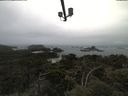 ./images/calvert/lookout/20210602/lookout20210602_115001.jpg