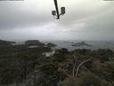 ./images/calvert/lookout/20210602/lookout20210602_115501.jpg