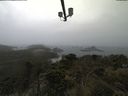./images/calvert/lookout/20210602/lookout20210602_132002.jpg