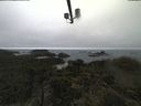 ./images/calvert/lookout/20210602/lookout20210602_151002.jpg