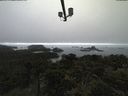 ./images/calvert/lookout/20210602/lookout20210602_160501.jpg