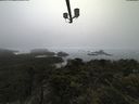 ./images/calvert/lookout/20210602/lookout20210602_165002.jpg