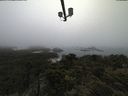 ./images/calvert/lookout/20210602/lookout20210602_175501.jpg