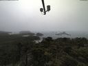 ./images/calvert/lookout/20210602/lookout20210602_181501.jpg
