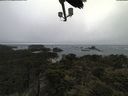 ./images/calvert/lookout/20210602/lookout20210602_185502.jpg