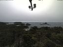 ./images/calvert/lookout/20210602/lookout20210602_190501.jpg