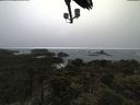 ./images/calvert/lookout/20210602/lookout20210602_191001.jpg