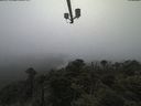 ./images/calvert/lookout/20210602/lookout20210602_202502.jpg