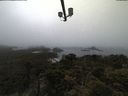 ./images/calvert/lookout/20210602/lookout20210602_213501.jpg