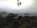 ./images/calvert/lookout/20210603/lookout20210603_055501.jpg