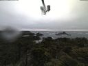 ./images/calvert/lookout/20210603/lookout20210603_060002.jpg