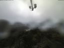 ./images/calvert/lookout/20210603/lookout20210603_082002.jpg