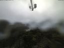 ./images/calvert/lookout/20210603/lookout20210603_082502.jpg