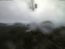 ./images/calvert/lookout/20210603/lookout20210603_083502.jpg