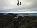 ./images/calvert/lookout/20210603/lookout20210603_100002.jpg