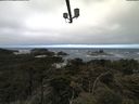 ./images/calvert/lookout/20210603/lookout20210603_104502.jpg