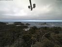 ./images/calvert/lookout/20210603/lookout20210603_105001.jpg