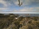 ./images/calvert/lookout/20210603/lookout20210603_111501.jpg