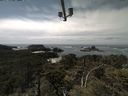 ./images/calvert/lookout/20210603/lookout20210603_141002.jpg
