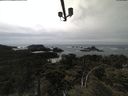 ./images/calvert/lookout/20210603/lookout20210603_152501.jpg