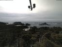 ./images/calvert/lookout/20210603/lookout20210603_153501.jpg