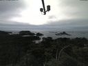 ./images/calvert/lookout/20210603/lookout20210603_170501.jpg