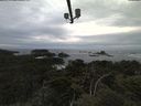 ./images/calvert/lookout/20210603/lookout20210603_202501.jpg