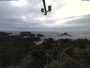 ./images/calvert/lookout/20210603/lookout20210603_203501.jpg