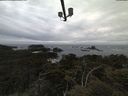 ./images/calvert/lookout/20210603/lookout20210603_210501.jpg