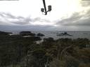./images/calvert/lookout/20210604/lookout20210604_051002.jpg
