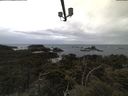 ./images/calvert/lookout/20210604/lookout20210604_055002.jpg