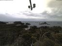 ./images/calvert/lookout/20210604/lookout20210604_055502.jpg