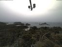 ./images/calvert/lookout/20210604/lookout20210604_064001.jpg