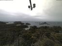 ./images/calvert/lookout/20210604/lookout20210604_071001.jpg
