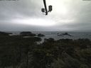 ./images/calvert/lookout/20210604/lookout20210604_091502.jpg