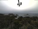 ./images/calvert/lookout/20210604/lookout20210604_101001.jpg