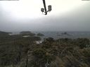 ./images/calvert/lookout/20210604/lookout20210604_101501.jpg