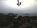 ./images/calvert/lookout/20210604/lookout20210604_102001.jpg