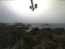 ./images/calvert/lookout/20210604/lookout20210604_103501.jpg