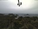 ./images/calvert/lookout/20210604/lookout20210604_104501.jpg