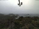 ./images/calvert/lookout/20210604/lookout20210604_105001.jpg