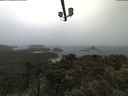 ./images/calvert/lookout/20210604/lookout20210604_110502.jpg