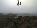 ./images/calvert/lookout/20210604/lookout20210604_112002.jpg