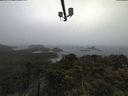 ./images/calvert/lookout/20210604/lookout20210604_112502.jpg