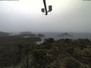 ./images/calvert/lookout/20210604/lookout20210604_113502.jpg