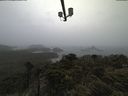 ./images/calvert/lookout/20210604/lookout20210604_115001.jpg